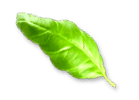 rev_home5_3
